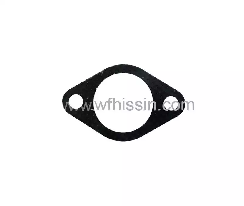 Exhaust manifold outlet gasket YD
